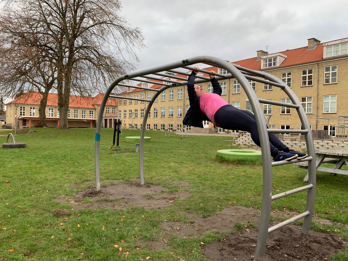 NWSW109 Horizontal ladder