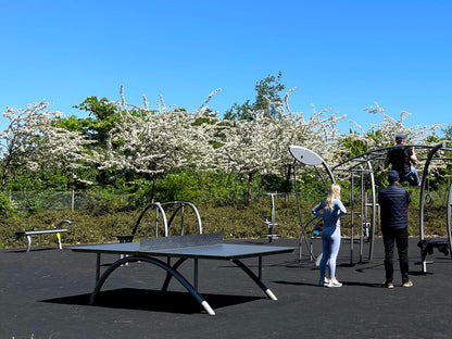 NW502 Ping pong